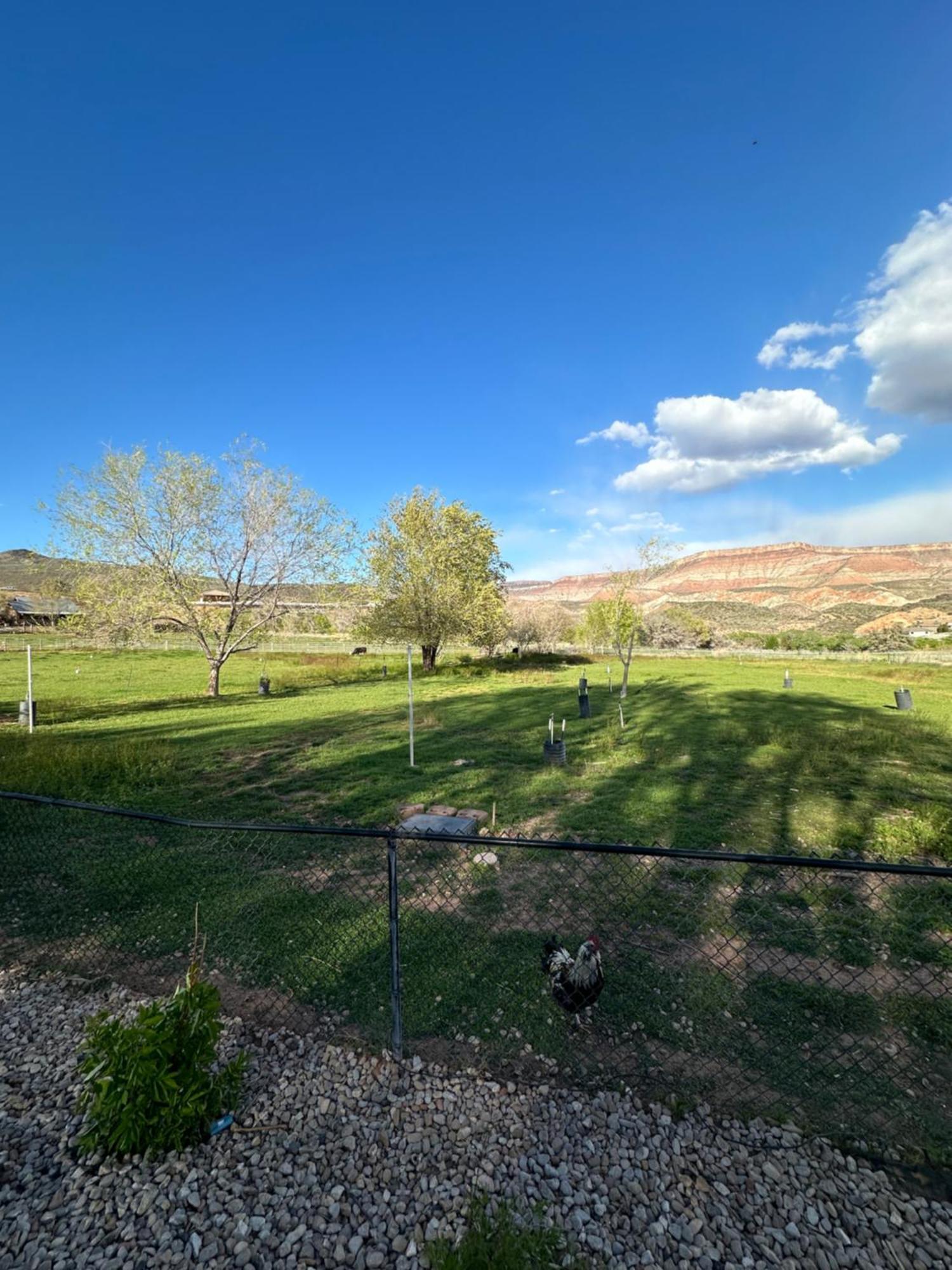 Copper Creek Farm Villa Toquerville Exterior foto